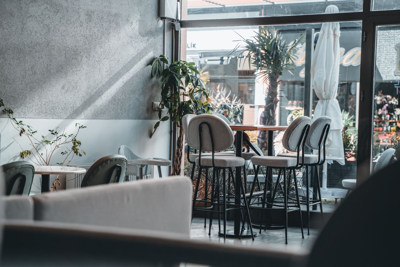 Inviting café interior featuring modern design, natural light, and stylish seating arrangement.